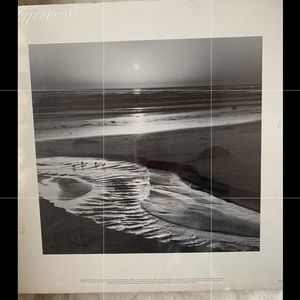 Ansel Adams NEW print